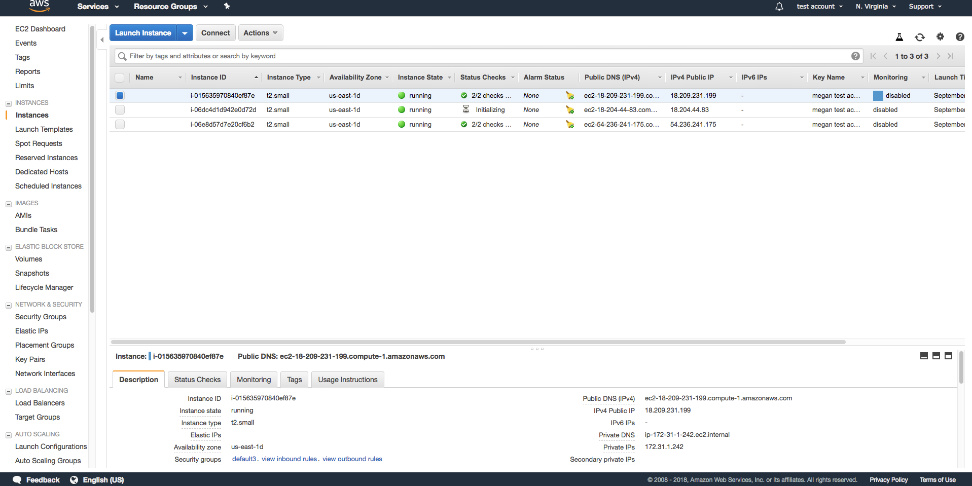 Screenshot of all instances in the AWS while installing cPanel