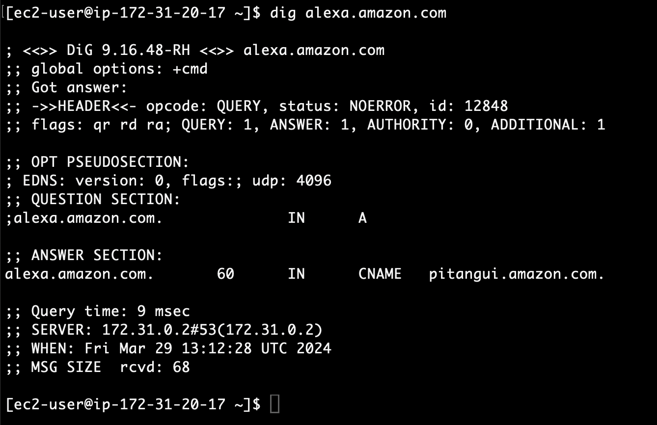 DNS query for alexa.amazon.com is blocked at first CNAME