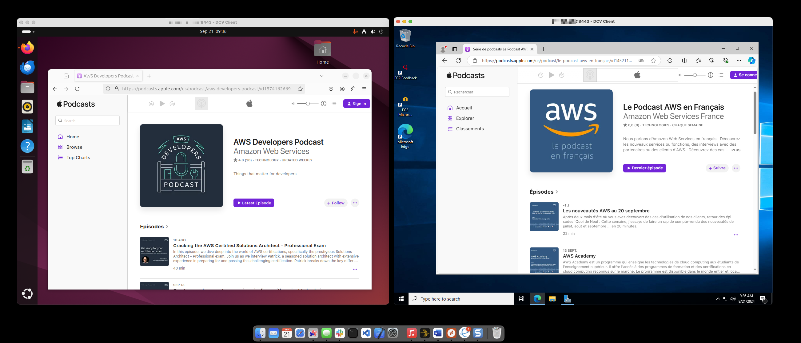 DCV two clients from macOS