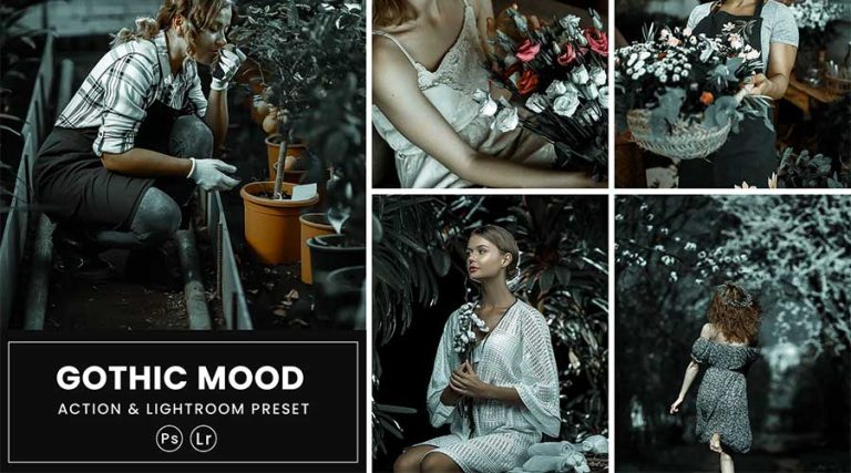 20+ Artistic Effect Lightroom Presets for Creative Photographers