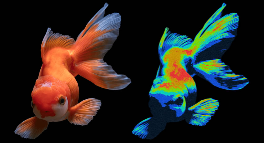 Heatmap free photoshop actions