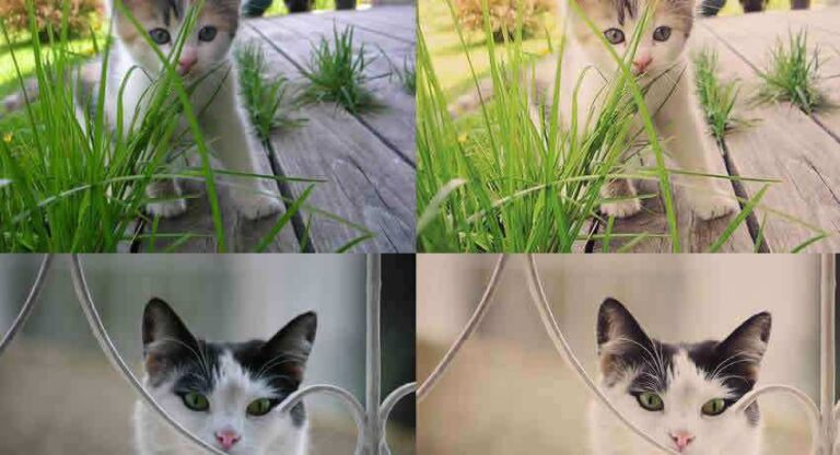 40+ Best Free Photoshop Actions & Effects in 2025