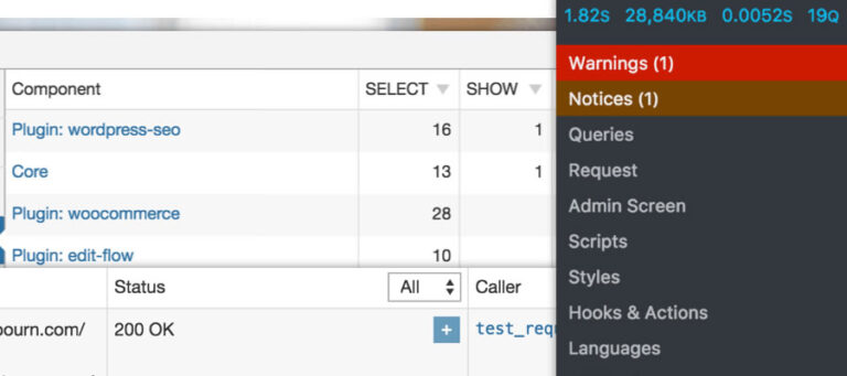 The 6 Best Developer Friendly WordPress Plugins for Performance & Diagnostics
