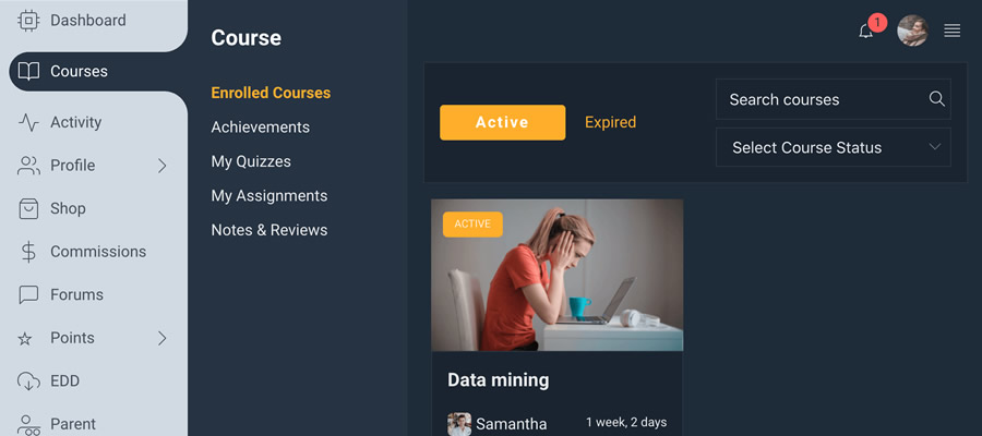 WPLMS WordPress plugin