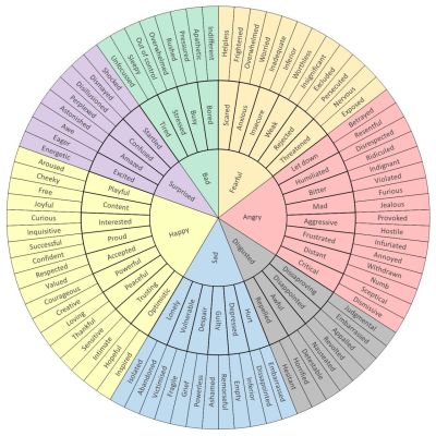 A colorful circular chart of emotions, starting with Happy, Sad, Angry, Fearful, Bad, Surprised, and Disgusted at the inner ring, branching out to more specific feelings in the outer rings.