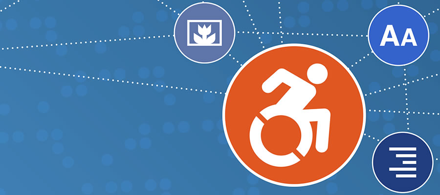 WP Accessibility WordPress Plugin